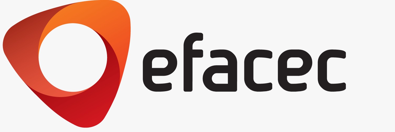 Efacec India Pvt Ltd